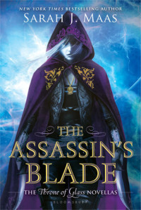 (E) The Assassins Blade